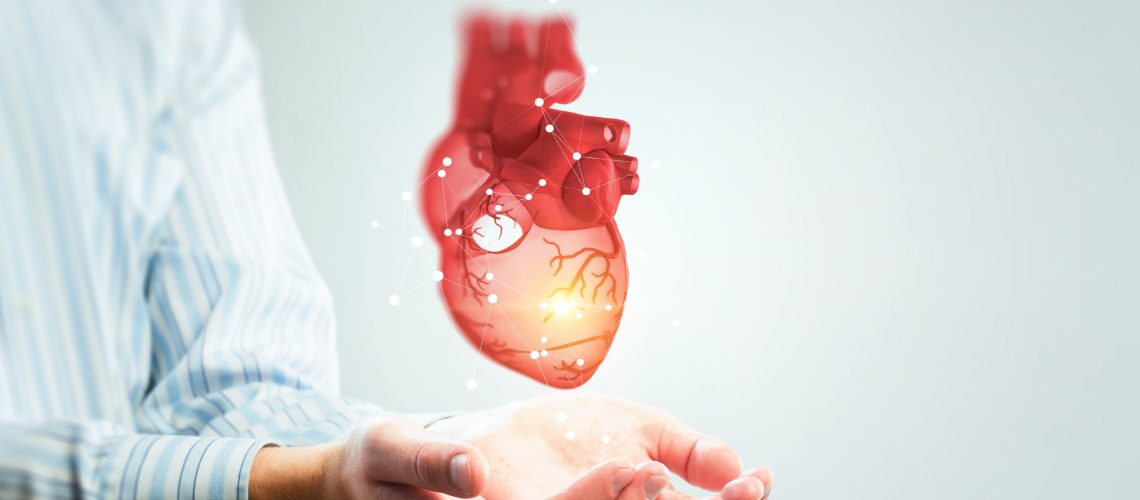 Man s hands showing anatomical heart model. Mixed media.